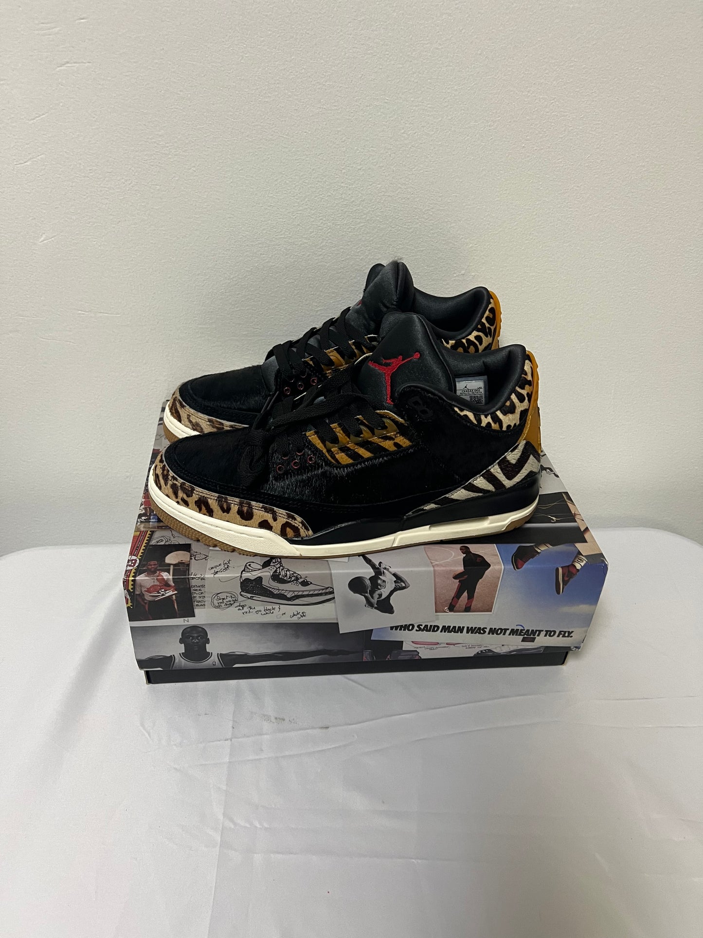 Air Jordan 3 Retro SE