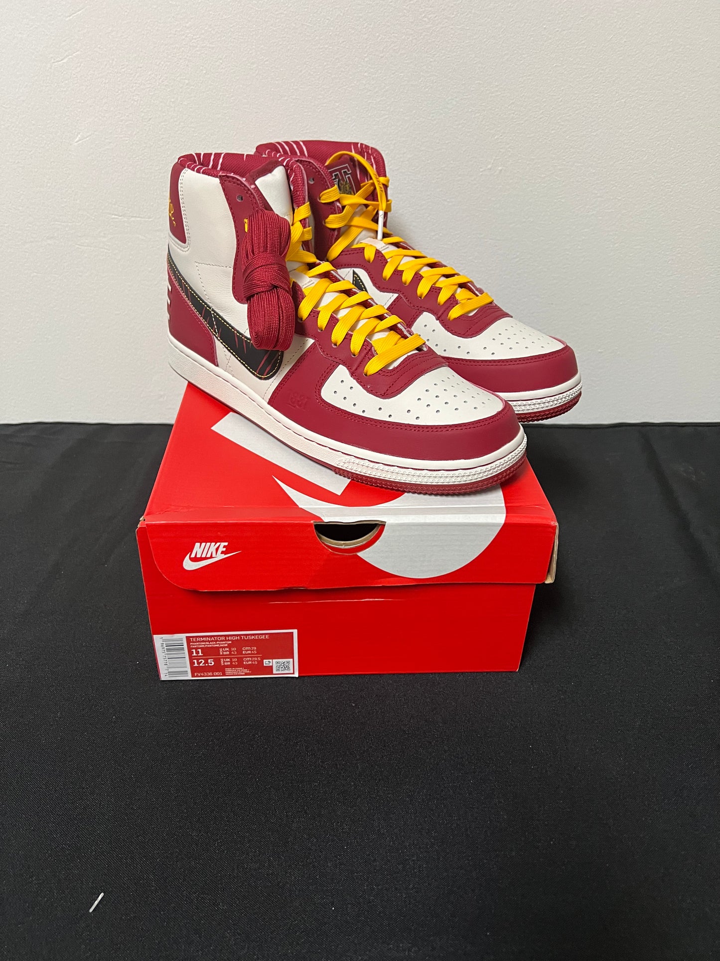 New Terminator Nike Dunk (Tuskegee) Size 11